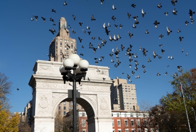 Washington Square Park Arch, blue sky and birds flyer past