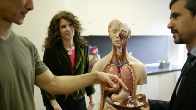 Organs