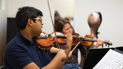 violins