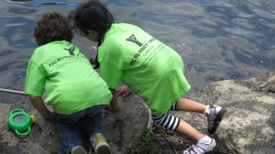 Children in the Go Green summer camp