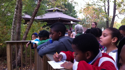 New York State Environmental Literacy Plan