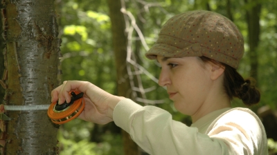 Student at the Wallerstein Collaborative