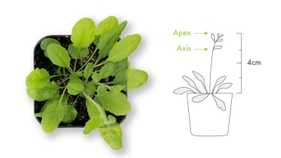 Plant Tracer App Screenshot