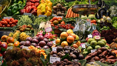 Closely packed boxes of all different kinds of fruits and vegetables.