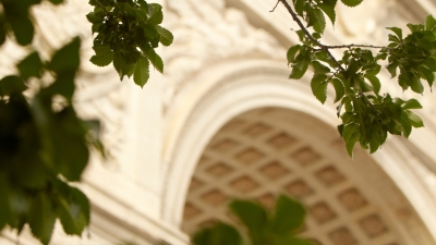 Close up of Washington Square Park Arch with leaves in foreground 
