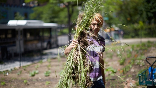 Student holding up grass and weeds
