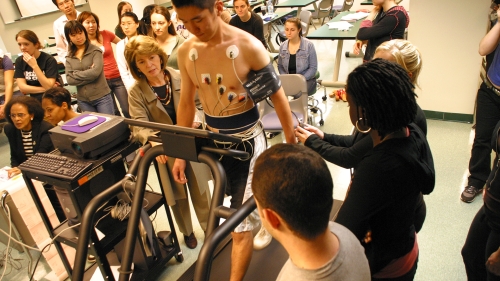Physical therapy students attend a class lecture