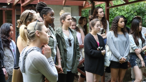 A group of people looking in one direction.