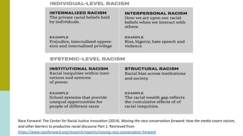 Image with points on Individual and Systematic level racism