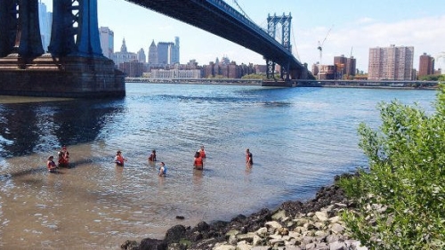 Wallerstein Collaborative Students Performing Water Quality Test