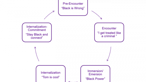 Diagram_of_being_nonwhite_950x582