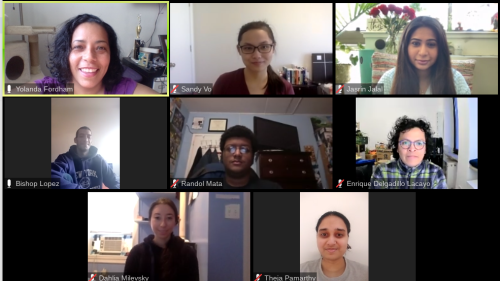 LPP team meeting through zoom