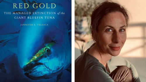 Picture of Jennifer Telesca alongside her book, Red Gold