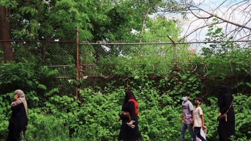 Group of people walking past an overgrown field.