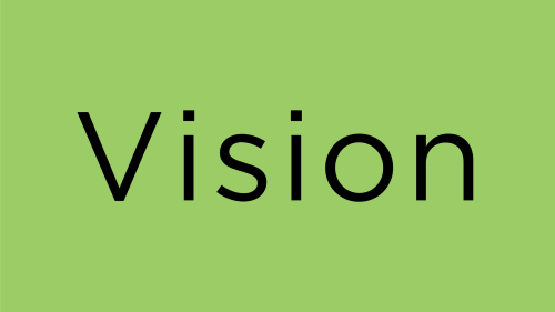 Graphic captures a lime green rectangular box with black text which reads "Vision". Pertaining to the "Vision" of the ASD Nest Support Project sub-unit