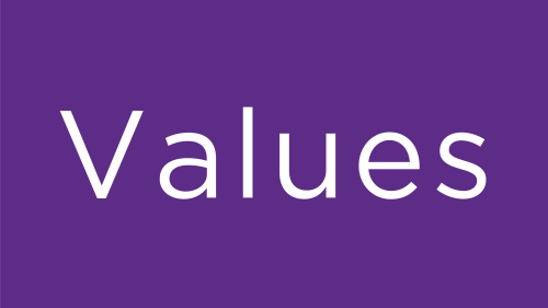 Graphic captures a purple colored with white text which reads "Values". This pertains to the "Values" of the ASD Nest Support Project.