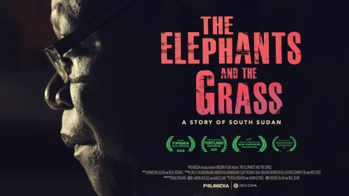 The Elephants in the Grass