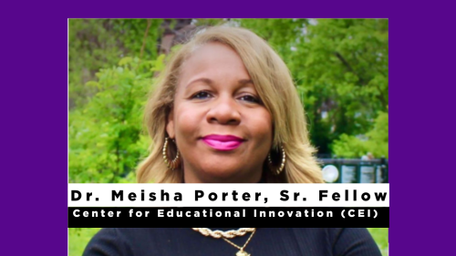 Image captures a headshot of NYU Metro Center 2025 Equity Now Conference panelist, Dr. Meisha Porter. She wears a black sweater, gold chain, and blond hair. She stands in the midst of a greenery.