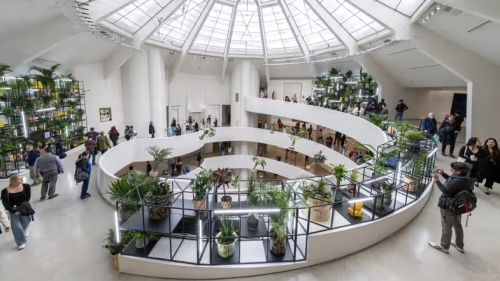 The rotunda at the Guggenheim Museum covered with plants