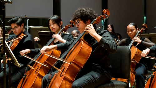 Cello and violins in concert