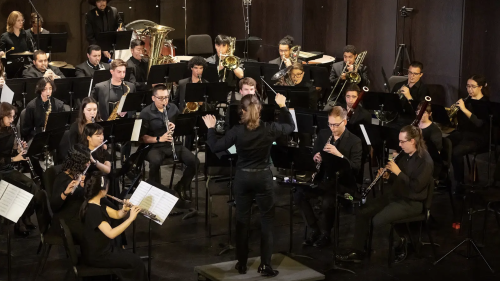 Conductor leading symphony in performance