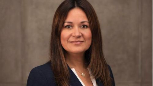 A woman with tan skin and long brown hair looks into the camera.