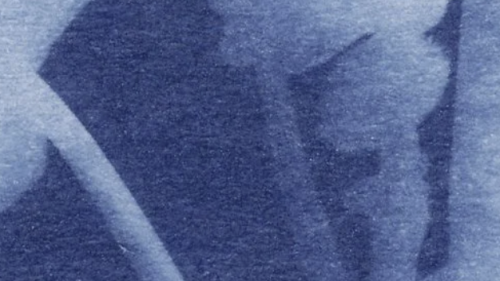 A blue and white detail shot of a cyanotype.