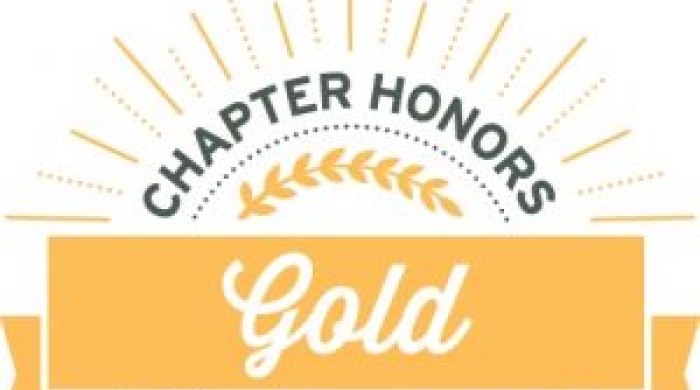 2019 Gold Chapter honors badge.