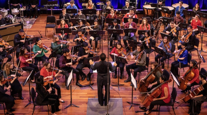 Orchestra performing