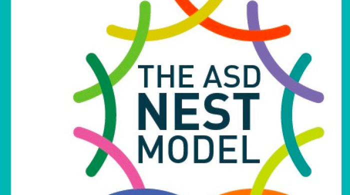 ASD Nest Model Book Cover