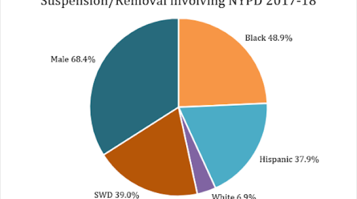 Pie chart of removal involving NYPD