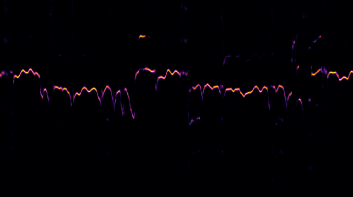 Waveform Example of the crepe Software