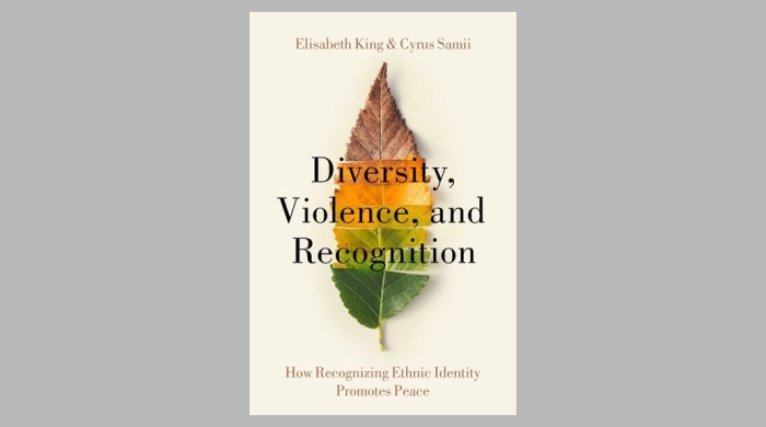 Book cover for Elisabeth King and Cyrus Samii's book Diveristy, Violence and Recognition