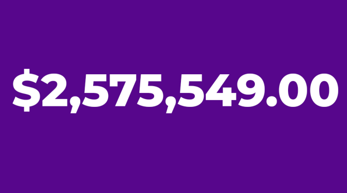 Metrocenter's revenue from fees for service partners: $2,575,549.00