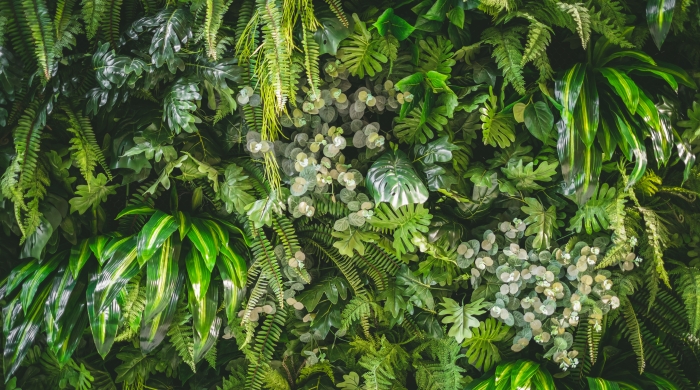 Green plants growing vertically.