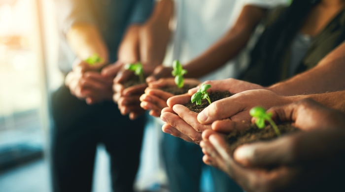 Group of people lined up each holding a small pile of dirt with a growing plant in their palms.