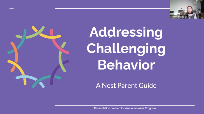 Image captures screenshot of ASD Nest Webinar titled "Addressing Challenging Behavior"