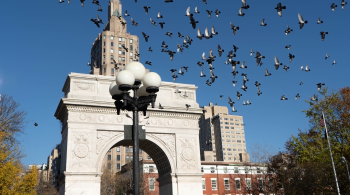 Washington Square Park Arch, blue sky and birds flyer past