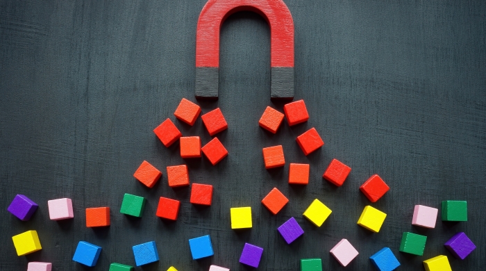 Red Magnet Attracting Colorful Blocks
