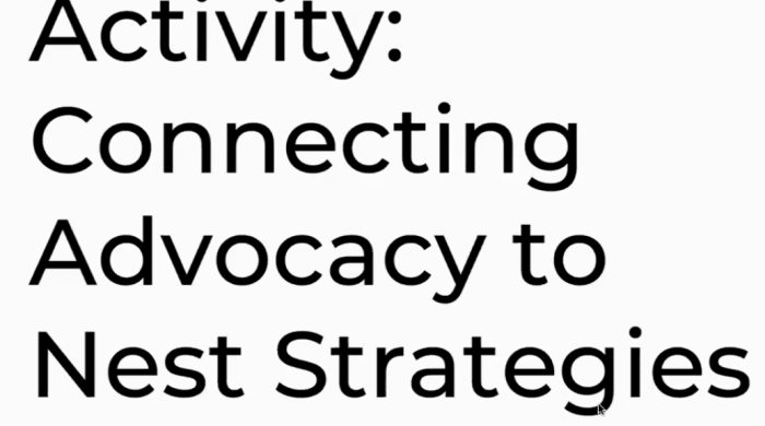 image captures white screen with Black Text which reads, "Activity: Connecting Advocacy to Nest Strategies.