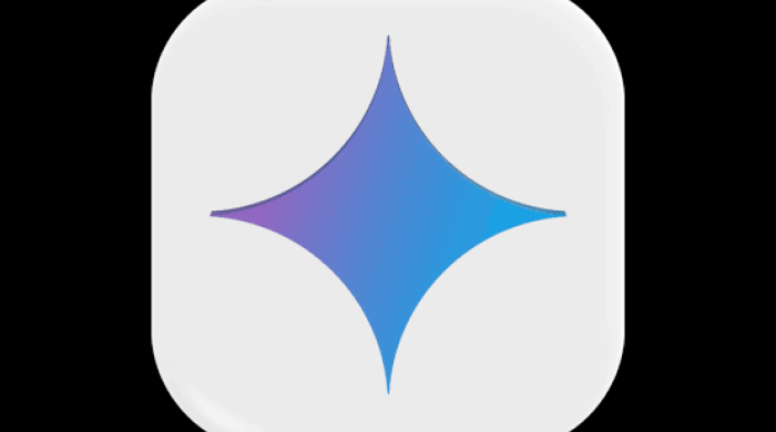 Image of Gemini logo, looks like a symbol that resembles a star shining