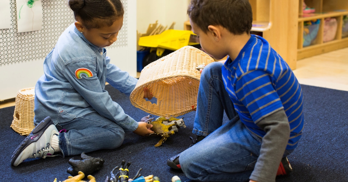 Curriculum BS, Early Childhood Education and Early Childhood Special