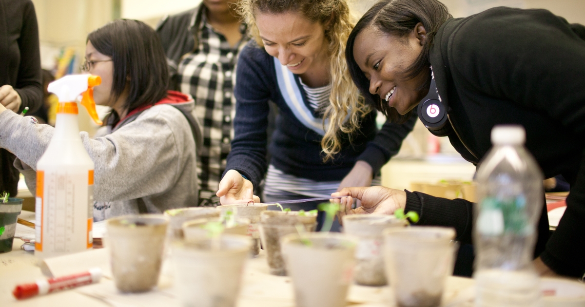 Projects | Collaboration with the Student Success Network | NYU Steinhardt