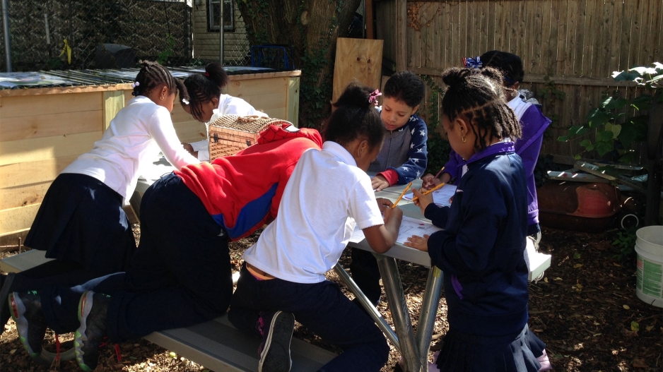 Students Studying Community Garden