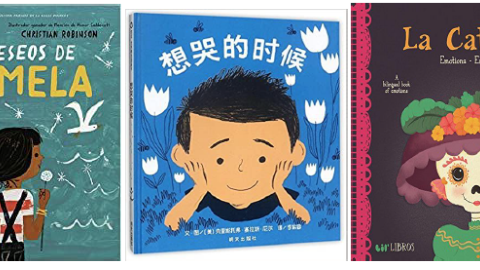 Bilingual Book Covers