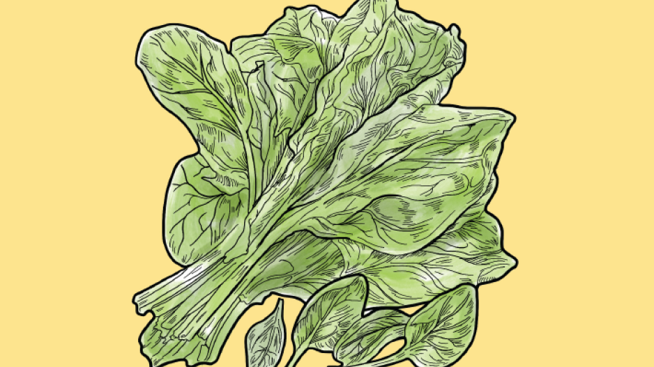 A drawing of spinach leaves on a yellow background.