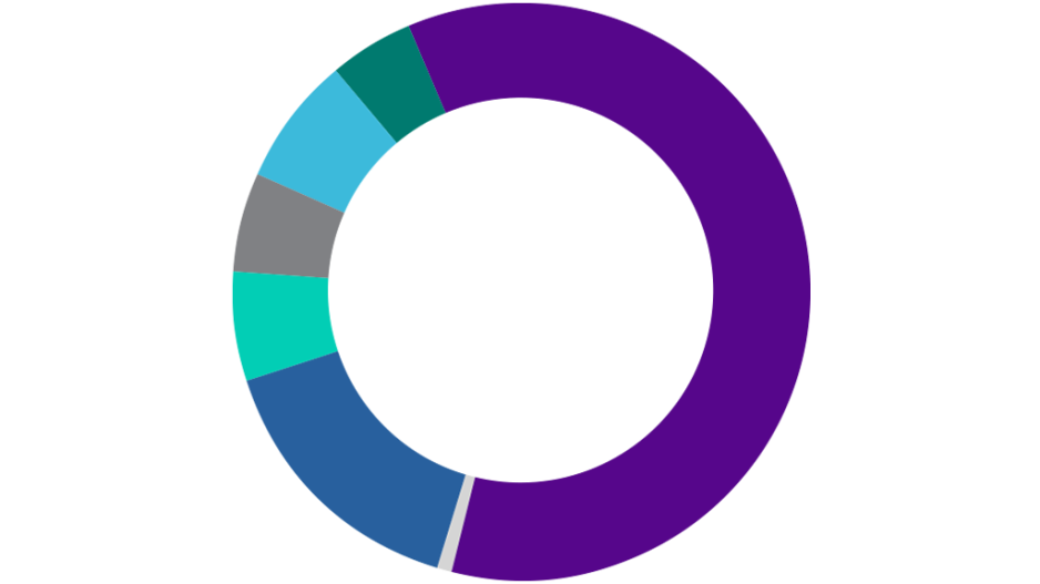 pie chart of MA ethnicity stats