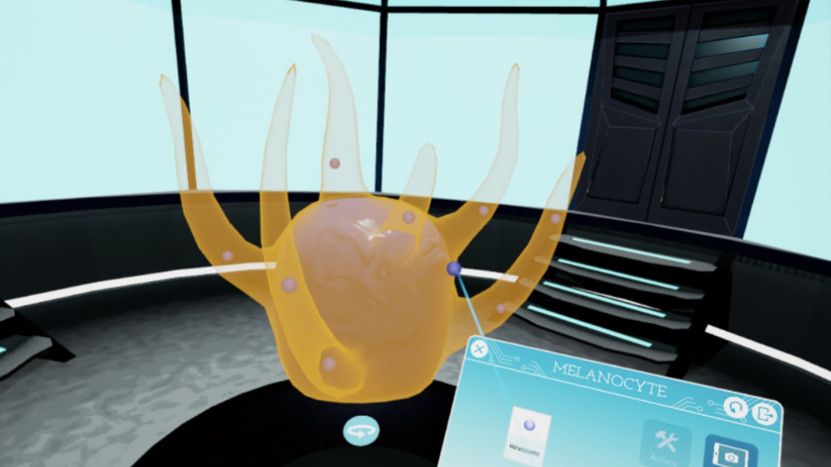 a yellow virtual reality cell with the word melanocyte above it