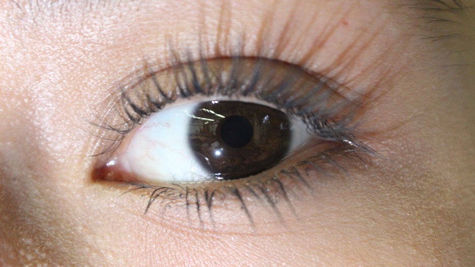 phorograph of a girl’s brown left eye