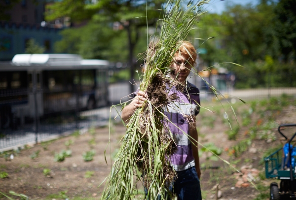 Student holding up grass and weeds